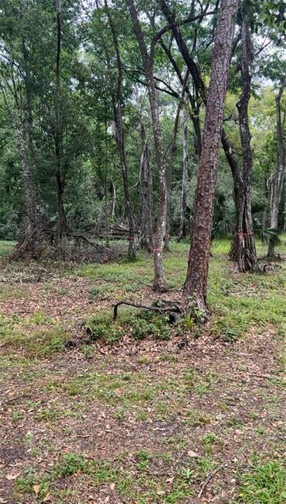 待售: $195,000 (4.96 acres)