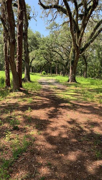 待售: $195,000 (4.96 acres)