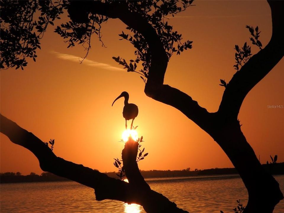 En Venta: $335,000 (2 camas, 2 baños, 1234 Pies cuadrados)