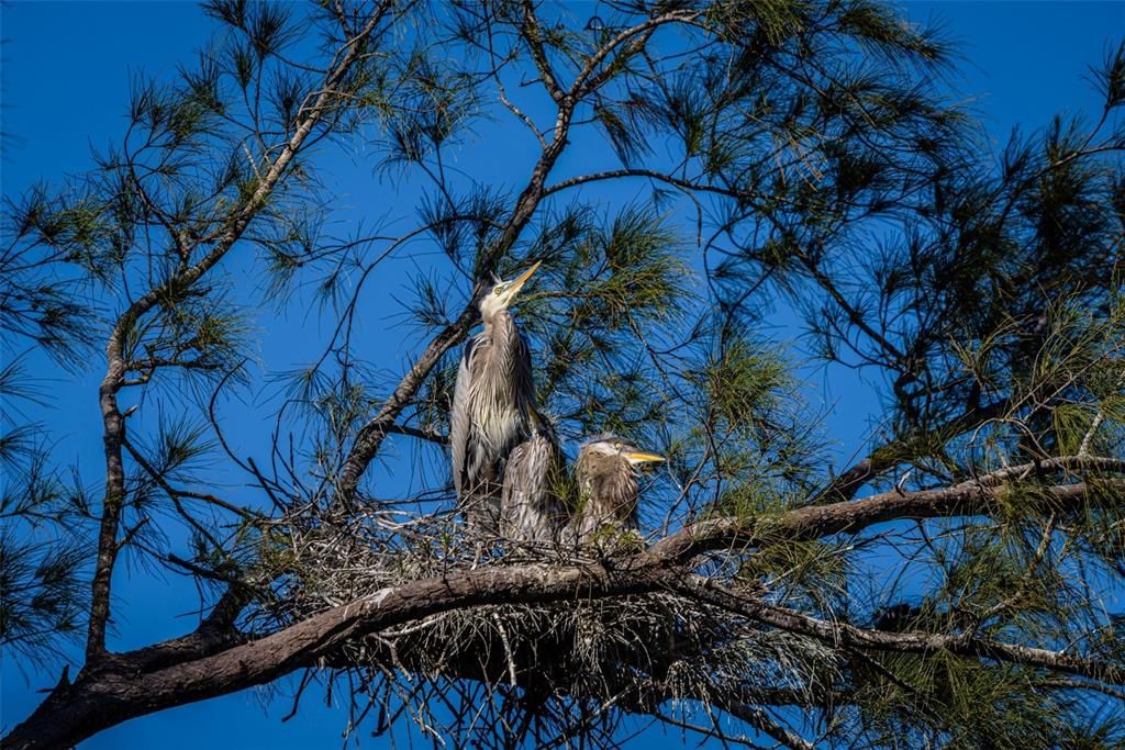 En Venta: $335,000 (2 camas, 2 baños, 1234 Pies cuadrados)