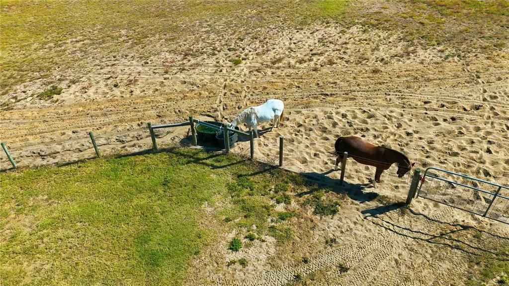 На продажу: $1,550,000 (4 спален, 3 ванн, 4370 Квадратных фут)