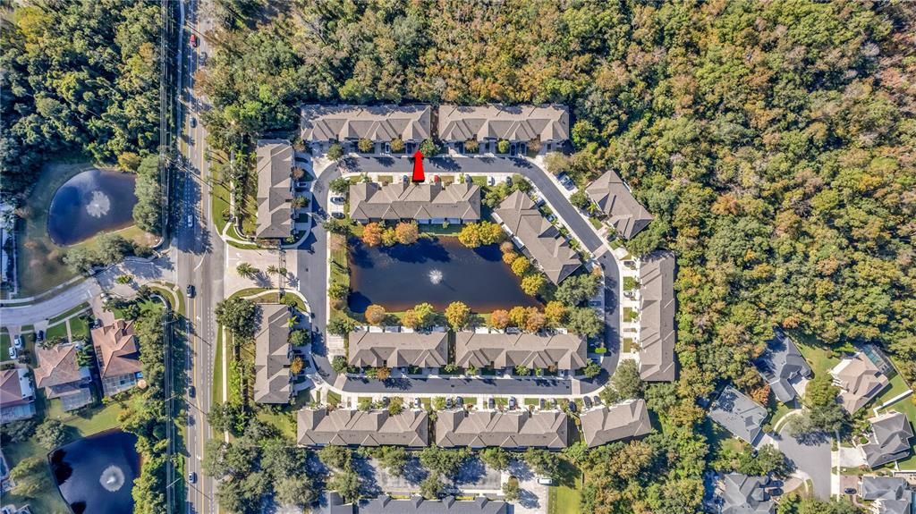 待售: $350,000 (3 贝兹, 2 浴室, 1602 平方英尺)