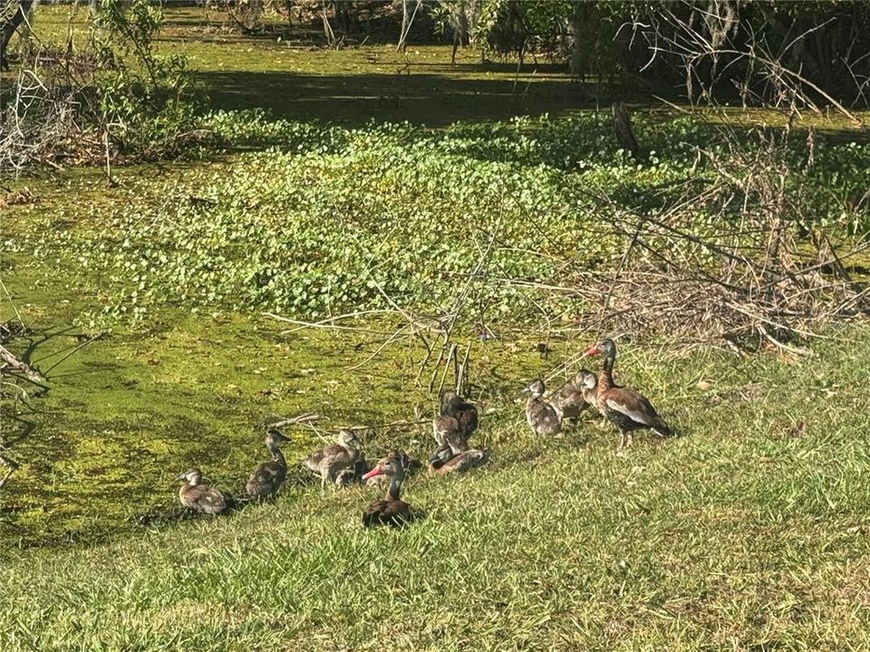 En Renta: $1,395 (2 camas, 1 baños, 845 Pies cuadrados)