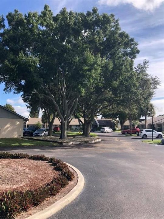 En Renta: $1,395 (2 camas, 1 baños, 845 Pies cuadrados)