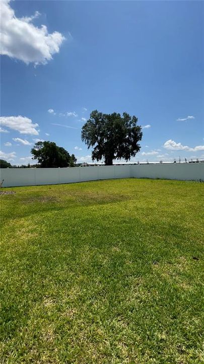 For Sale: $350,000 (3 beds, 2 baths, 1776 Square Feet)