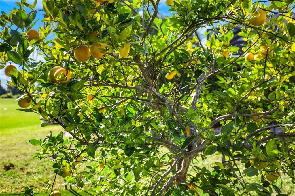 Active With Contract: $749,000 (5 beds, 4 baths, 3157 Square Feet)