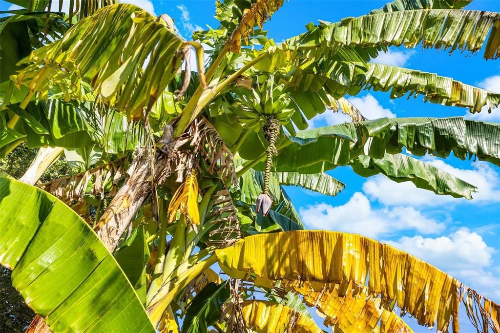 Active With Contract: $749,000 (5 beds, 4 baths, 3157 Square Feet)