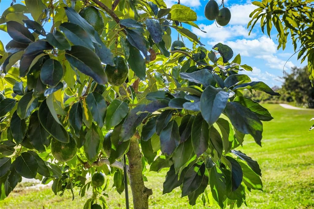 Active With Contract: $749,000 (5 beds, 4 baths, 3157 Square Feet)