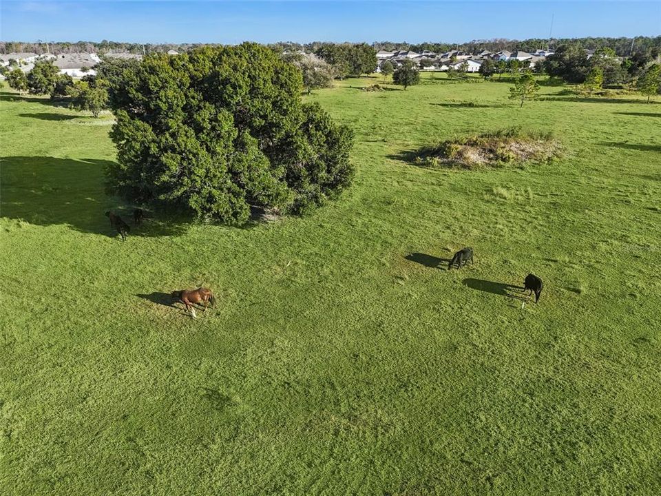 На продажу: $360,000 (3 спален, 2 ванн, 1556 Квадратных фут)