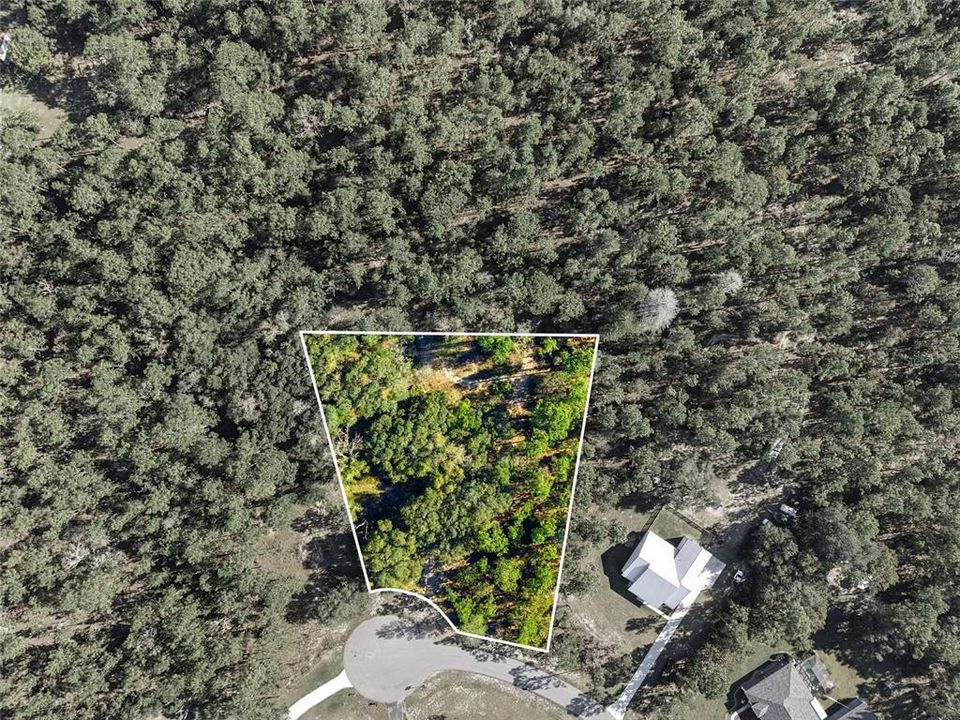 На продажу: $149,900 (1.13 acres)