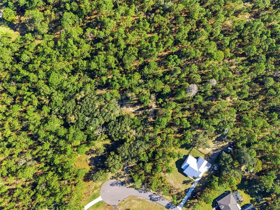 На продажу: $149,900 (1.13 acres)