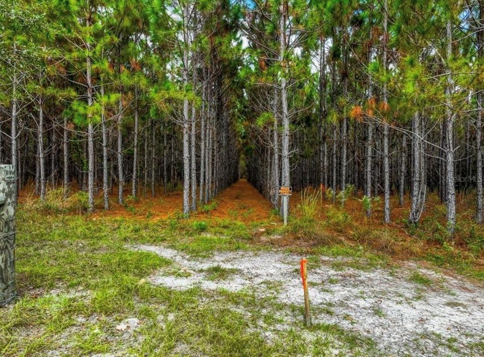 待售: $482,600 (12.70 acres)