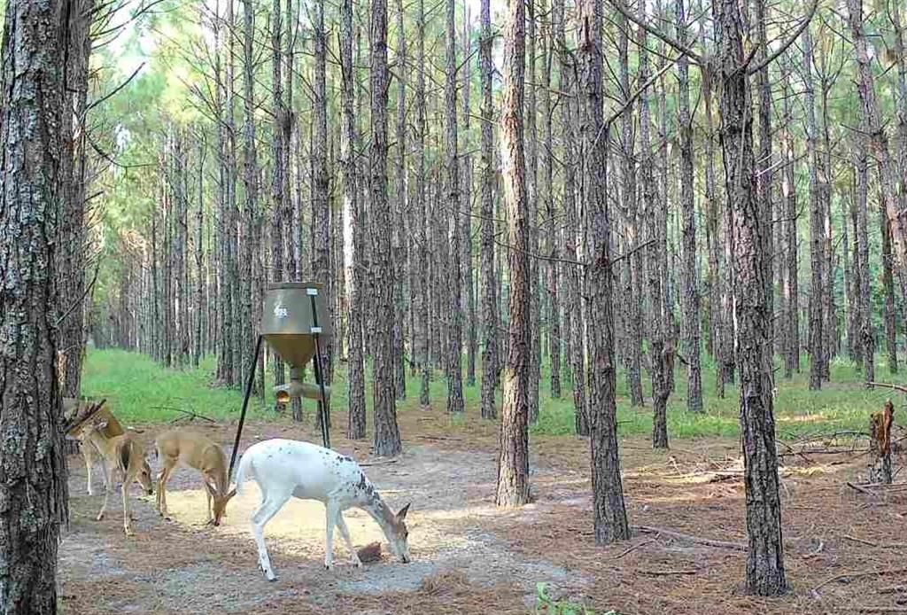 待售: $482,600 (12.70 acres)