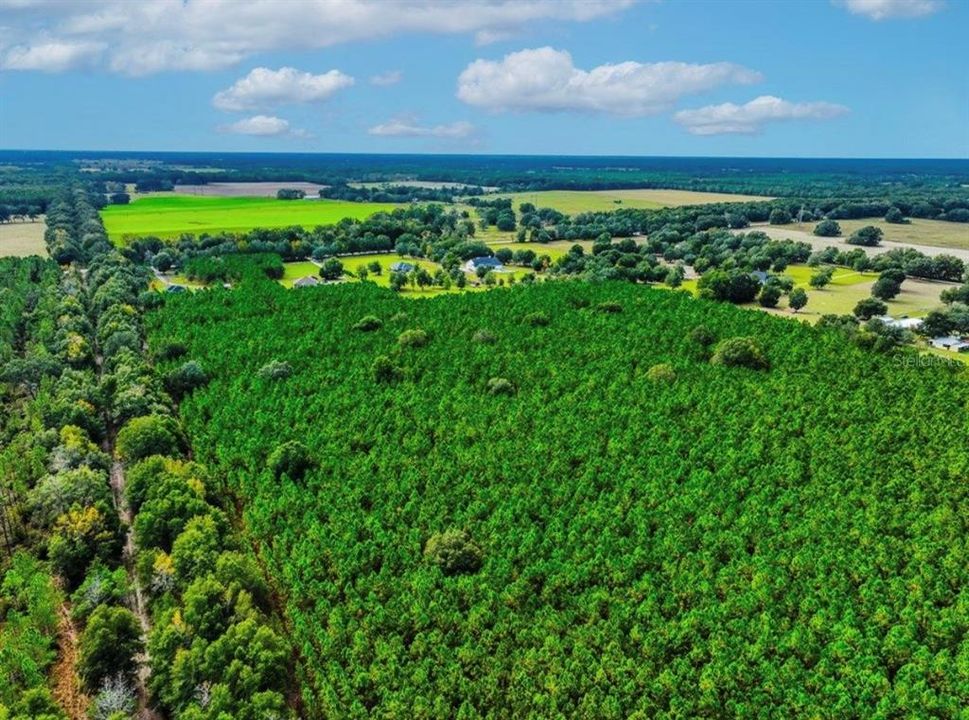 待售: $482,600 (12.70 acres)