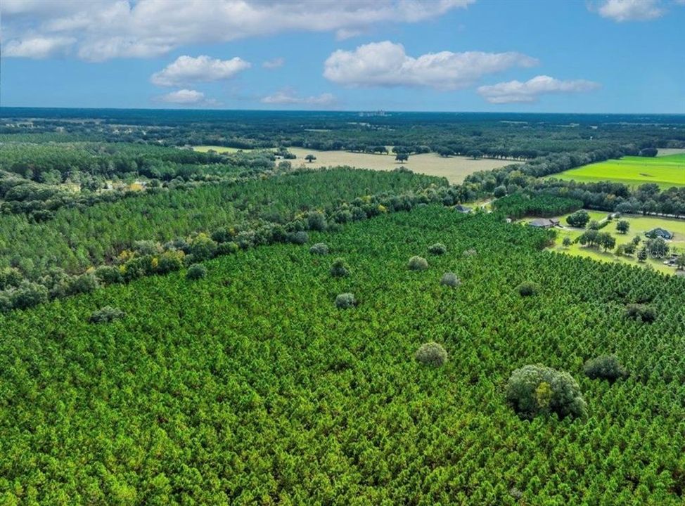 待售: $482,600 (12.70 acres)