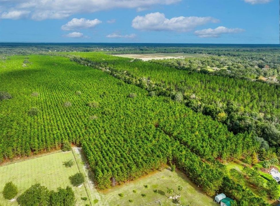 待售: $482,600 (12.70 acres)