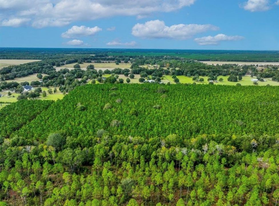 待售: $482,600 (12.70 acres)