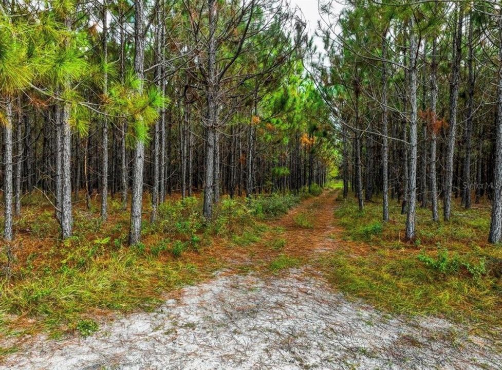 待售: $482,600 (12.70 acres)