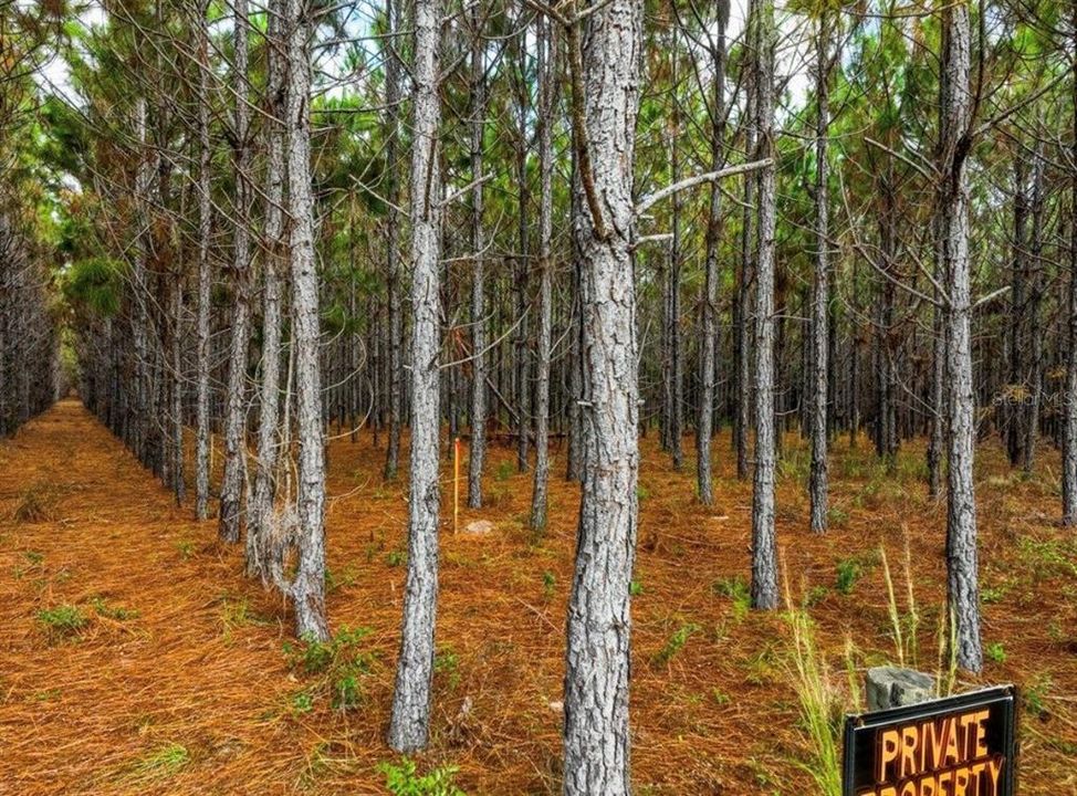 待售: $482,600 (12.70 acres)