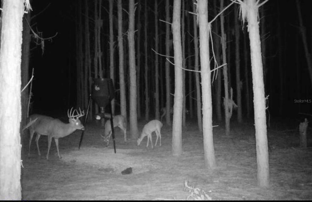 待售: $482,600 (12.70 acres)