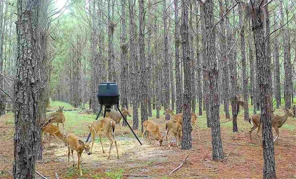 待售: $482,600 (12.70 acres)