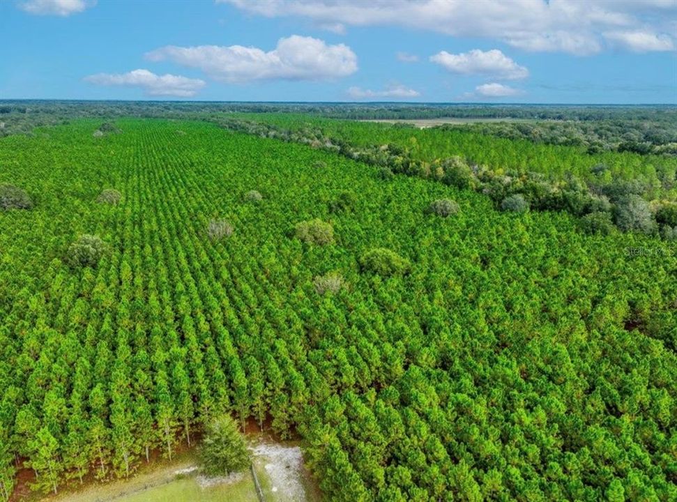 待售: $482,600 (12.70 acres)