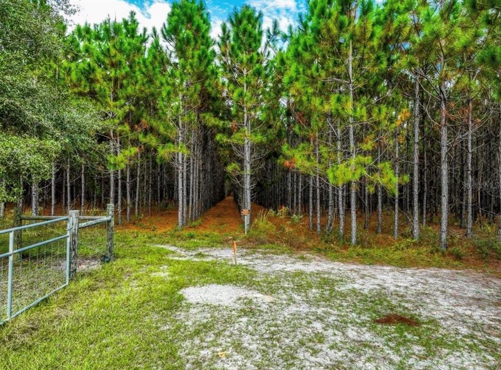 待售: $482,600 (12.70 acres)