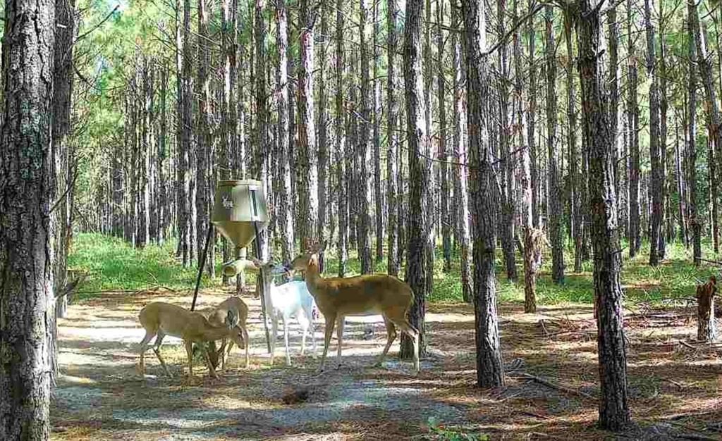 待售: $482,600 (12.70 acres)