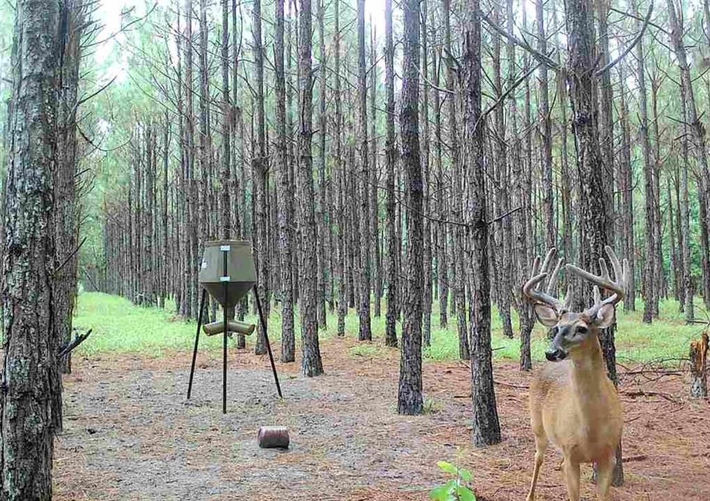 待售: $482,600 (12.70 acres)