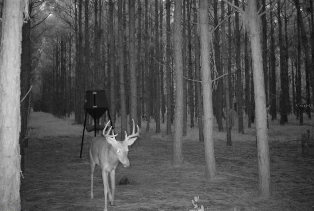 待售: $482,600 (12.70 acres)