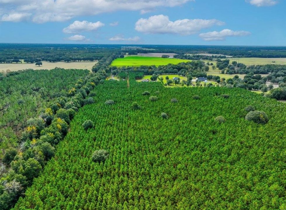 待售: $482,600 (12.70 acres)