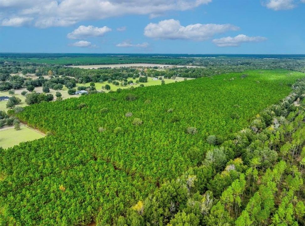 待售: $482,600 (12.70 acres)