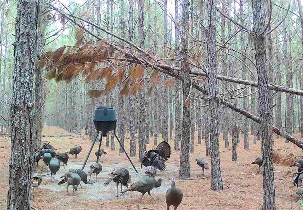 待售: $482,600 (12.70 acres)