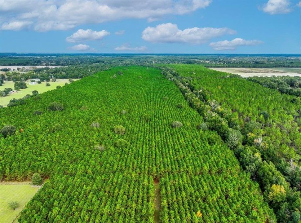 待售: $482,600 (12.70 acres)