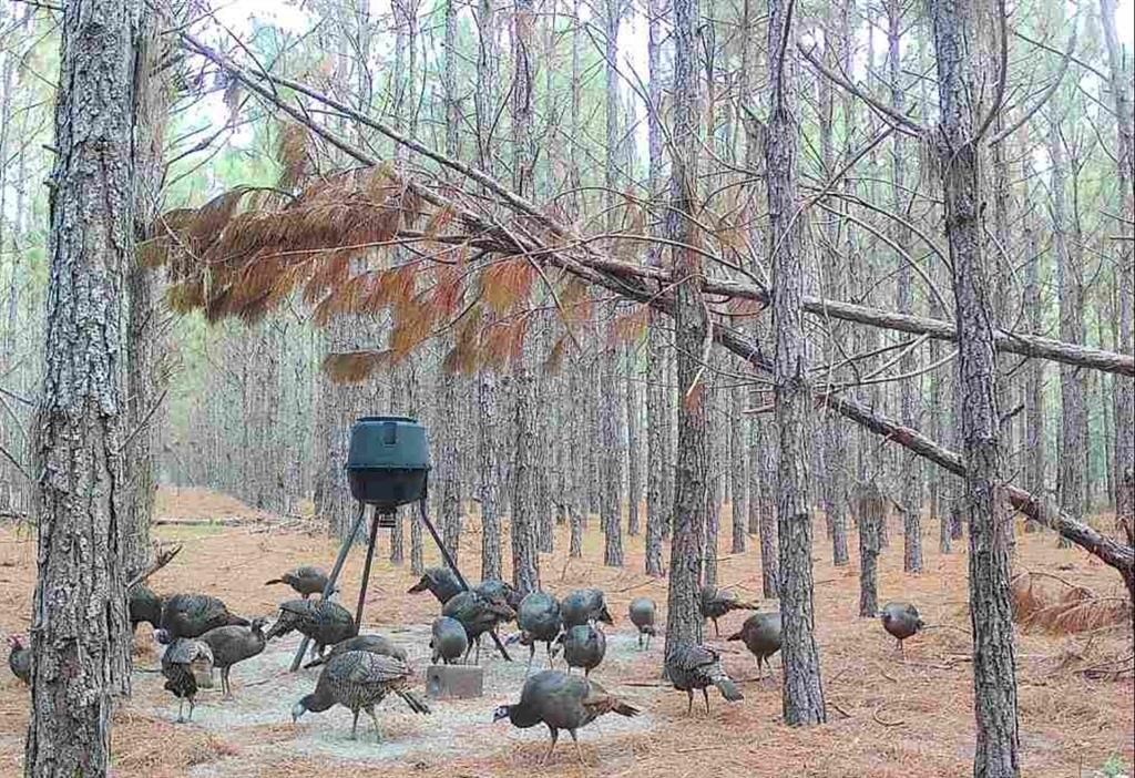 待售: $482,600 (12.70 acres)