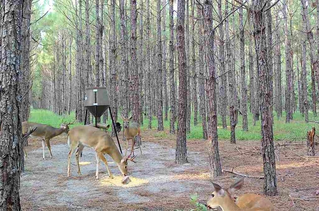 待售: $482,600 (12.70 acres)