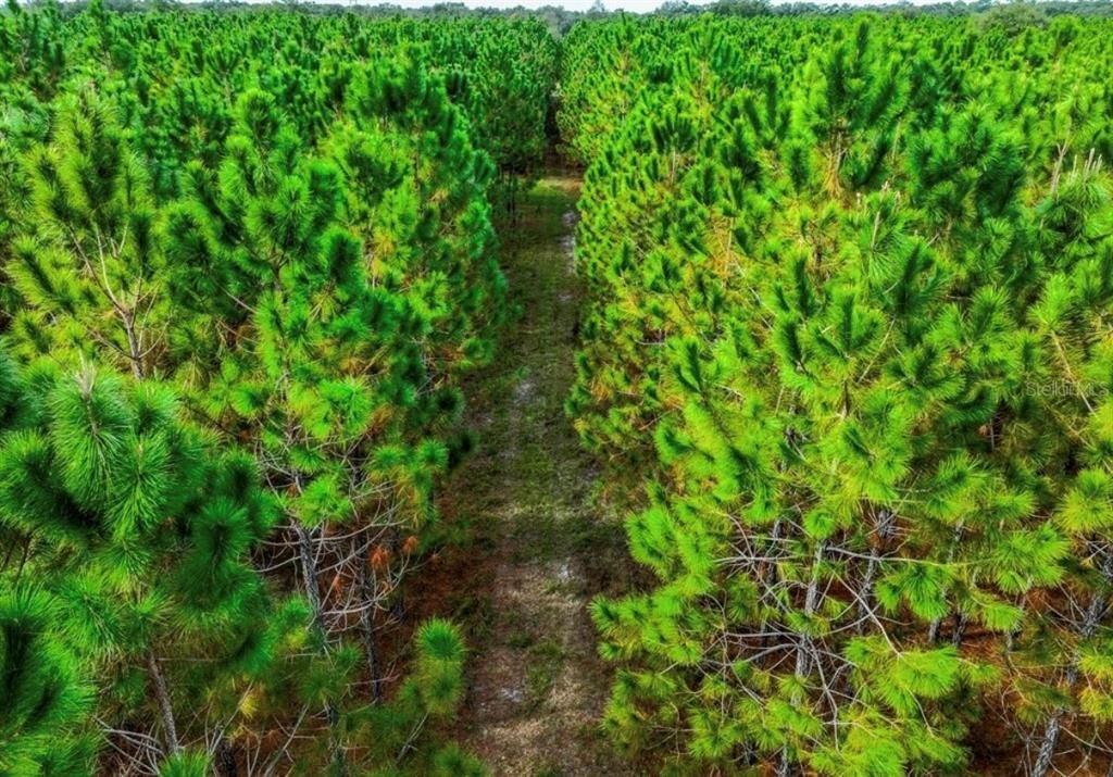 待售: $482,600 (12.70 acres)