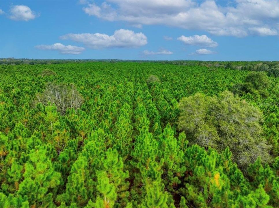 待售: $482,600 (12.70 acres)