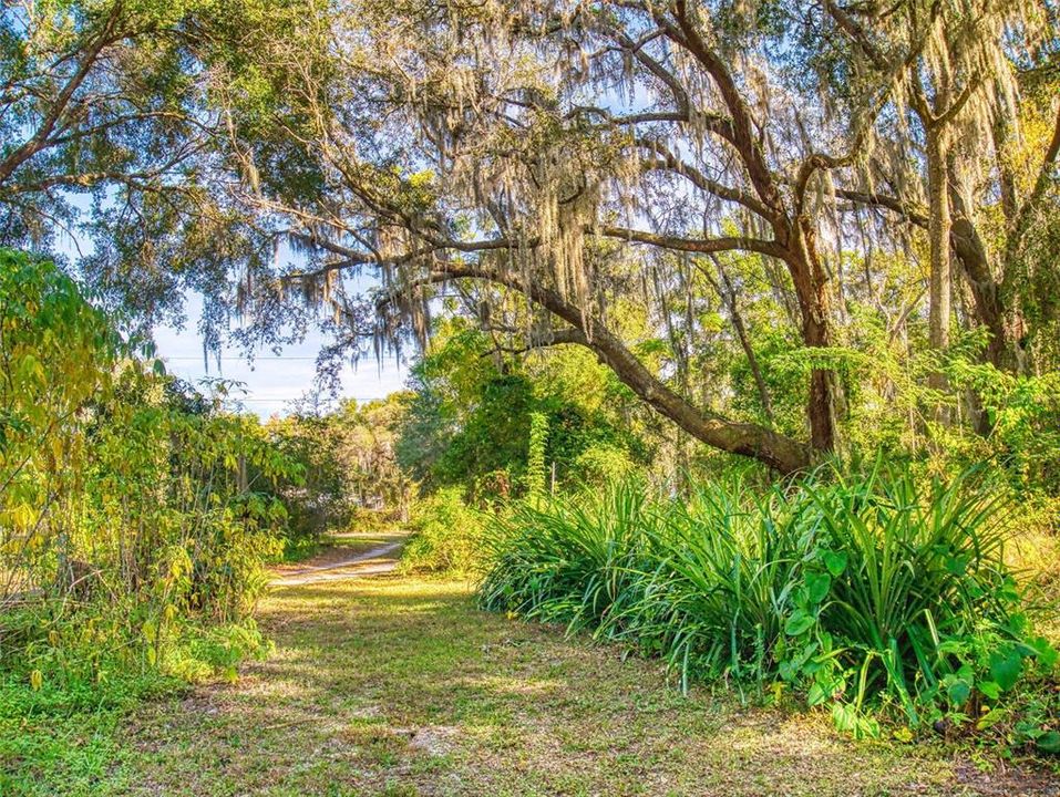 待售: $345,000 (4 贝兹, 2 浴室, 2127 平方英尺)