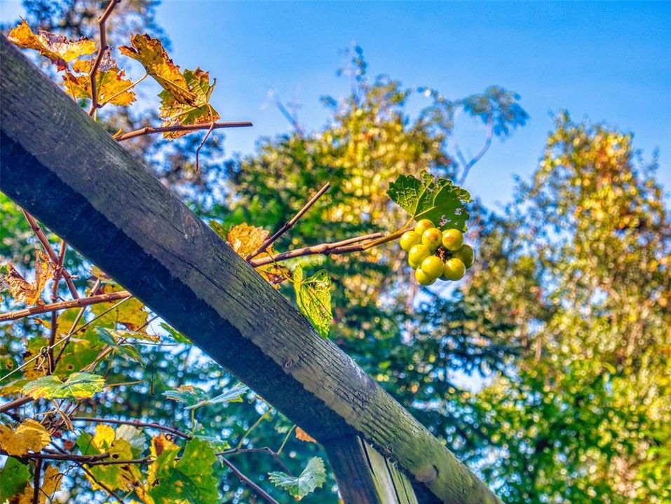 待售: $345,000 (4 贝兹, 2 浴室, 2127 平方英尺)