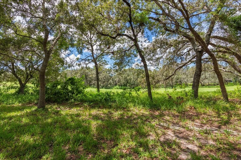 待售: $310,000 (3 贝兹, 2 浴室, 1975 平方英尺)