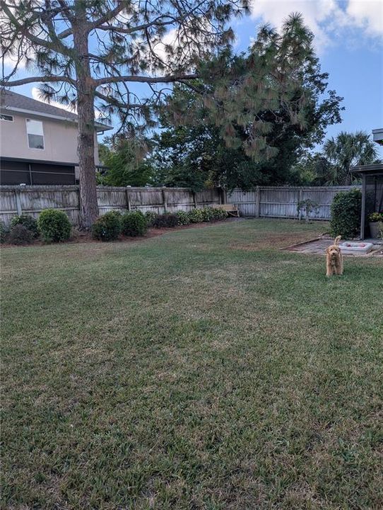 For Sale: $417,900 (3 beds, 1 baths, 1070 Square Feet)