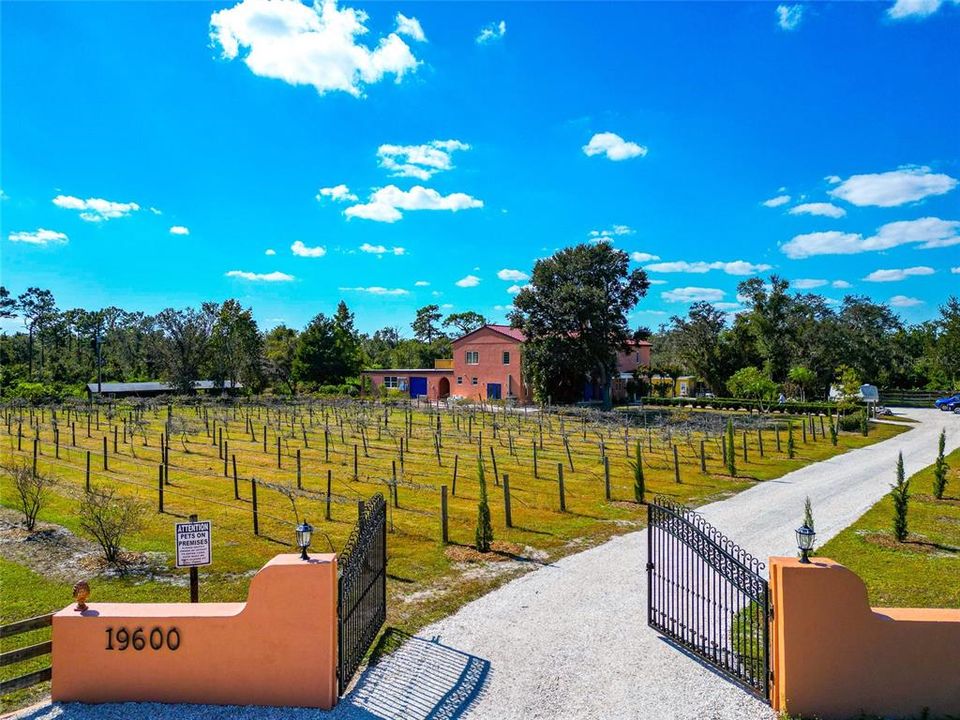 На продажу: $2,695,000 (7 спален, 5 ванн, 4920 Квадратных фут)