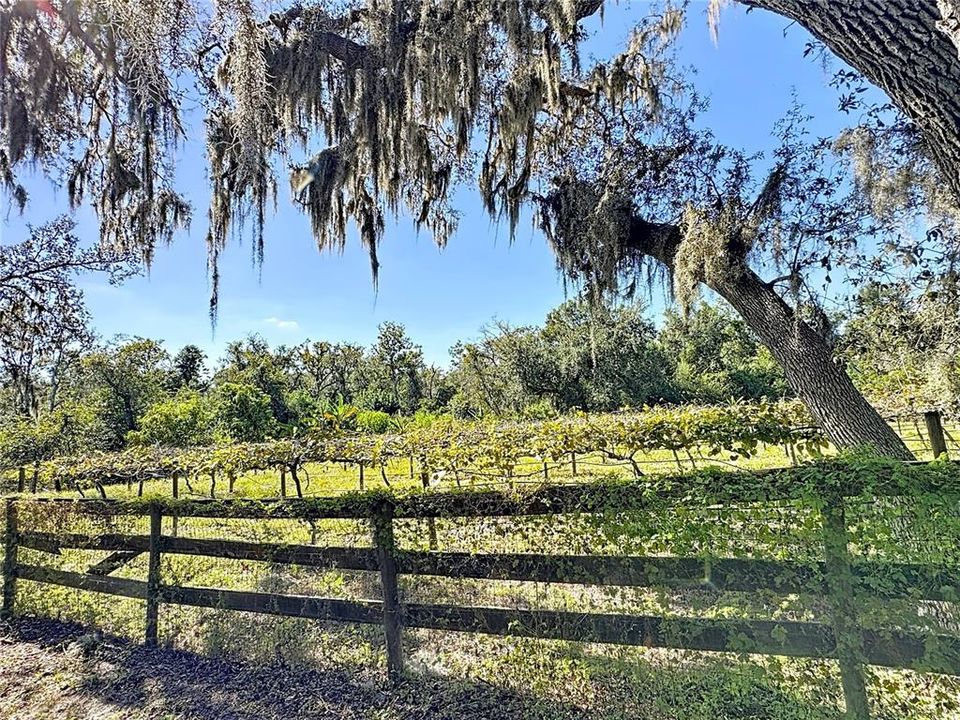 На продажу: $2,695,000 (7 спален, 5 ванн, 4920 Квадратных фут)