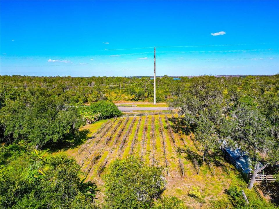 На продажу: $2,695,000 (7 спален, 5 ванн, 4920 Квадратных фут)