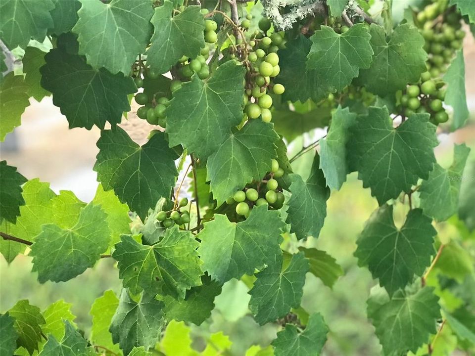 На продажу: $2,695,000 (7 спален, 5 ванн, 4920 Квадратных фут)