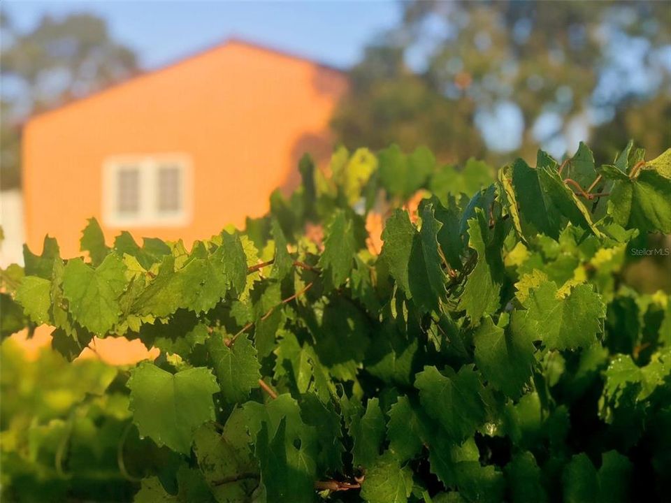 На продажу: $2,695,000 (7 спален, 5 ванн, 4920 Квадратных фут)