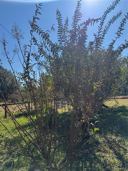 合同活跃: $180,000 (2 贝兹, 2 浴室, 1056 平方英尺)