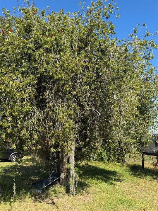 合同活跃: $180,000 (2 贝兹, 2 浴室, 1056 平方英尺)