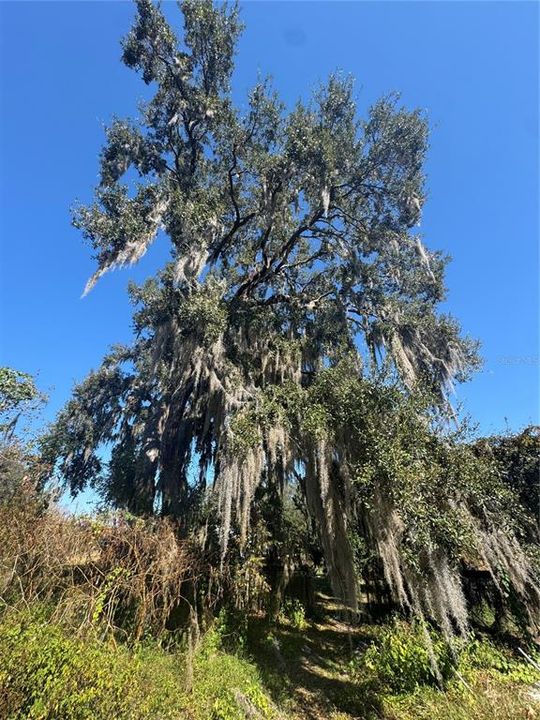 合同活跃: $180,000 (2 贝兹, 2 浴室, 1056 平方英尺)